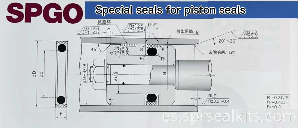 Special seal for piston seal02